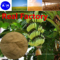 Real Factory Amino Acids Vegetable Source Free From Chloridion Amino Acids